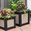 Image result for Unique Garden Planters Containers