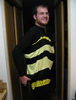 Image result for Bee Costume