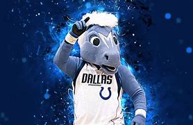 Image result for Dallas Mavericks Mascot Champ