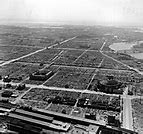 Image result for Tokyo Firebombing WWII