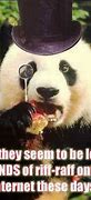 Image result for Panda Puns