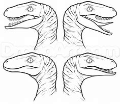 Image result for Jurassic World Velociraptor Blue Color Pages