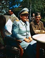 Image result for Nazi Leaders WW2