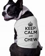 Image result for Keep Calm and Chew