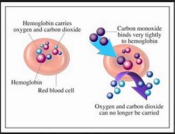Image result for Carbon Monoxide Hemoglobin