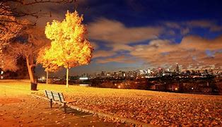 Image result for HD Wallpapers 1080P Fall Night