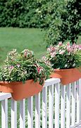 Image result for Vegetable Boxes On Porch Railing