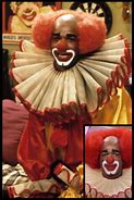 Image result for Homey the Clown Pic