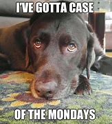 Image result for Case of Mondays Meme
