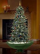 Image result for Home Depot Xmas Trees Live
