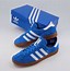 Image result for Adidas Bright Shoes