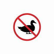 Image result for No Ducks Allowed Sign