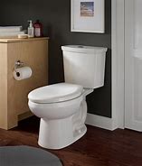 Image result for dual flush toilets