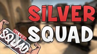 Image result for Silver Squad Vlog