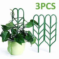 Image result for Indoor Plant Supports