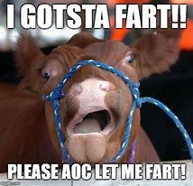 Image result for AOC Cow Meme
