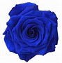 Image result for Rose Blue Flame Background