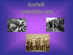 Image result for Concentration Camp Experience