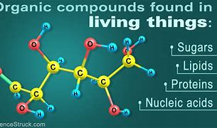 Image result for Organic Compound