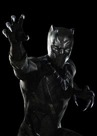 Image result for Black Panther Marvel Costume