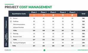 Image result for Project Cost Management Template