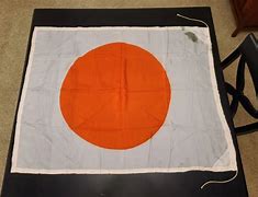 Image result for WW2 Japanese Kamikaze