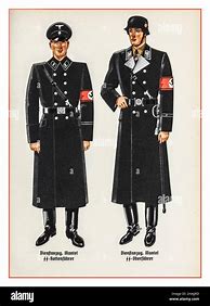 Image result for Waffen SS Dress Uniform