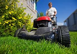 Image result for How to Maintain Grass