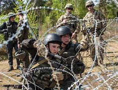 Image result for Allied Troops in Ukraine