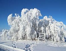 Image result for Upright Freezers Frost Free 20 Cu FT Dimensions