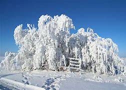 Image result for Black Upright Freezers Frost Free
