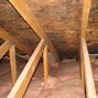 Image result for Attic Black Mold Removal