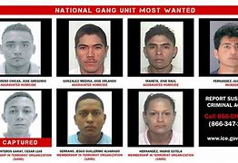 Image result for Washington State Most Wanted Fugitives