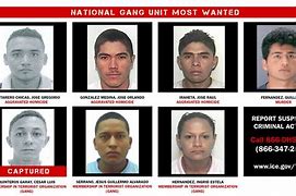 Image result for Snohomish County Most Wanted