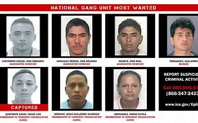 Image result for Texas Most Wanted Gang Members