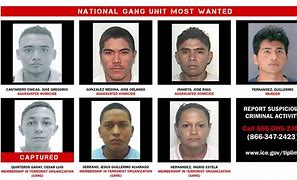Image result for Alabama's Most Wanted Criminals