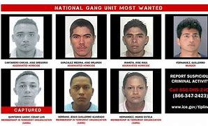 Image result for Most Wanted Person Arrested in Isabela