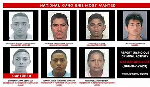 Image result for Most Wanted Drug Dealers