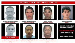 Image result for Most Wanted Criminals in 50 States