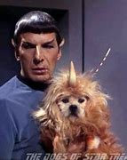 Image result for Number One in Star Trek Dog