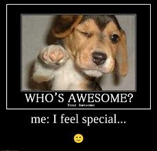 Image result for You Make Me Feel Special Funny