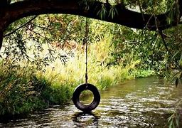 Image result for Rope Swing