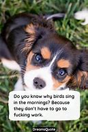Image result for Funny Little Sayings