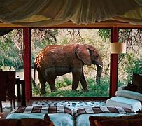 Image result for Australia Zoo Hotel