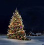 Image result for Christmas Tree Laptop Background