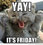 Image result for Happy Friday Funny
