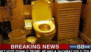 Image result for Trump On Gold Toilet