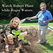 Image result for Robert Plants While Roger Waters