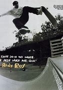 Image result for Andy Roy Skateboarder