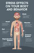 Image result for Stress Effects On Human Body